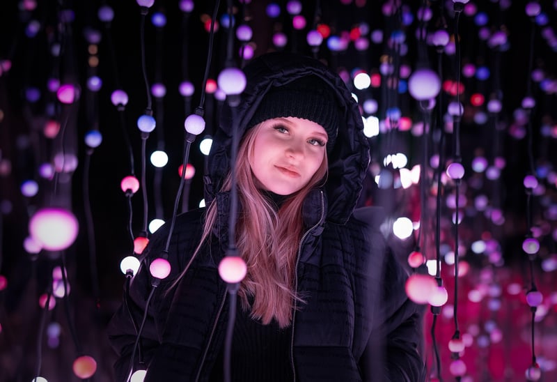 Fairy Light Canopy