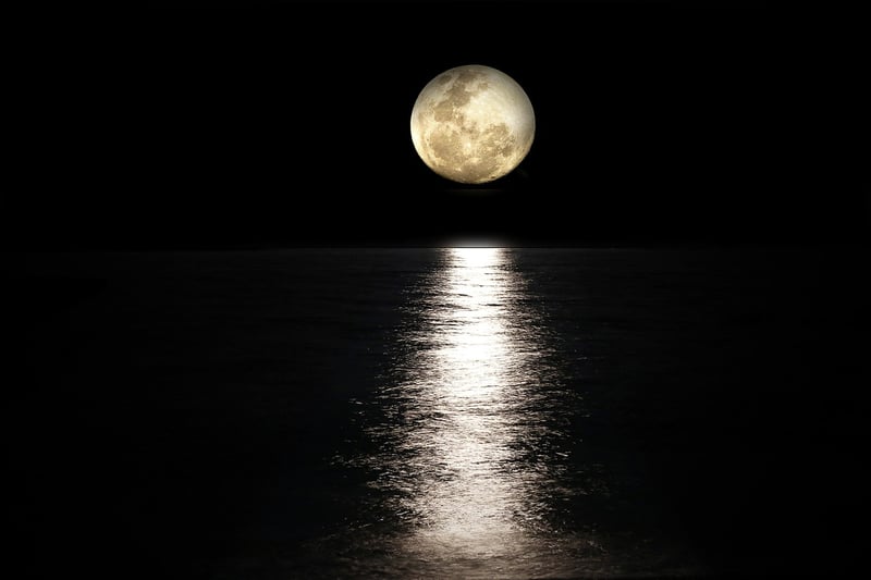 Moon Lanterns